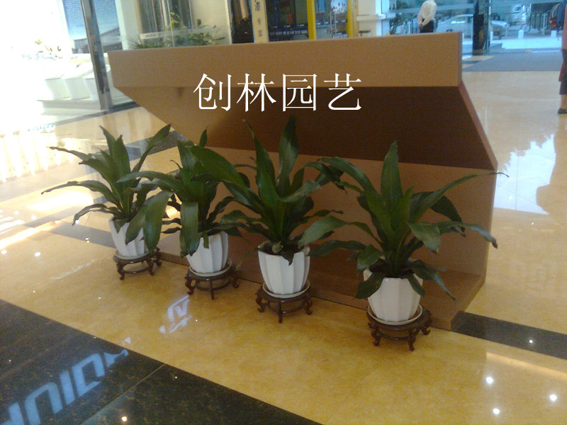 广州市马会家居